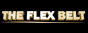Flex Belt logo